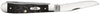 Case Jigged Buffalo Horn Trapper