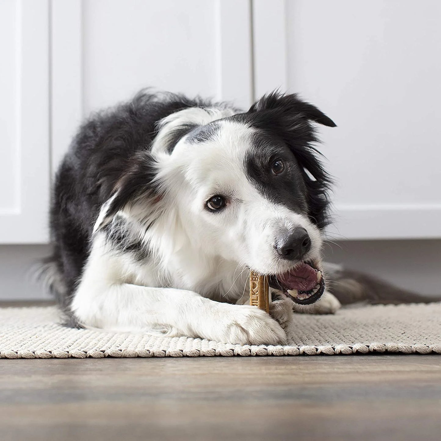 Milk-Bone Brushing Chews Daily Dental Dog Treats