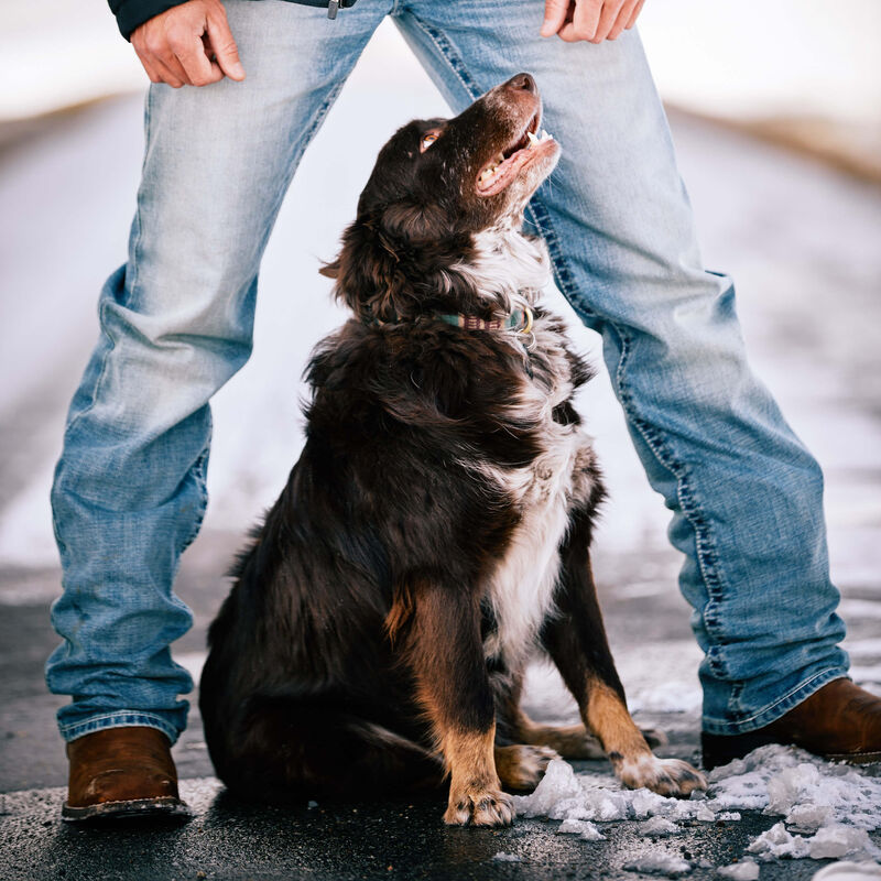 Ariat M2 Relaxed Stirling Stretch Boot Cut Jean in Shasta
