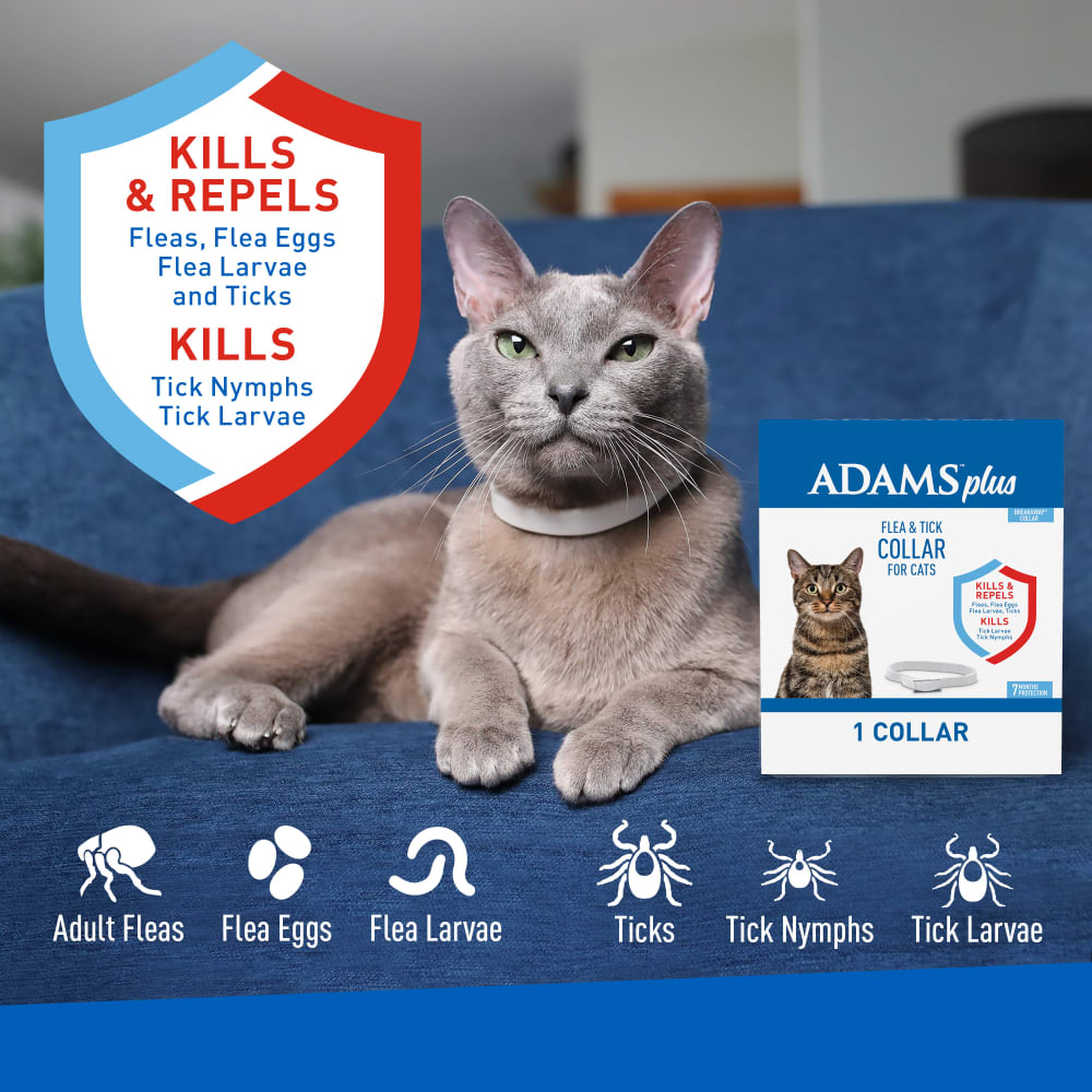 ADAMS Plus Flea & Tick Collar for Cats