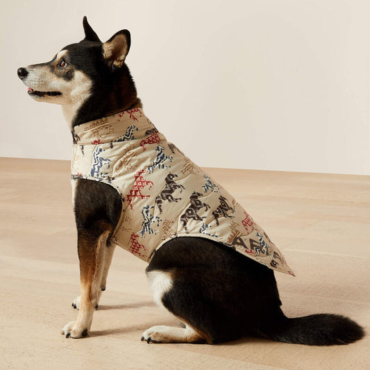 Ariat Pup Puffer Jacket in Painted Ponies Print