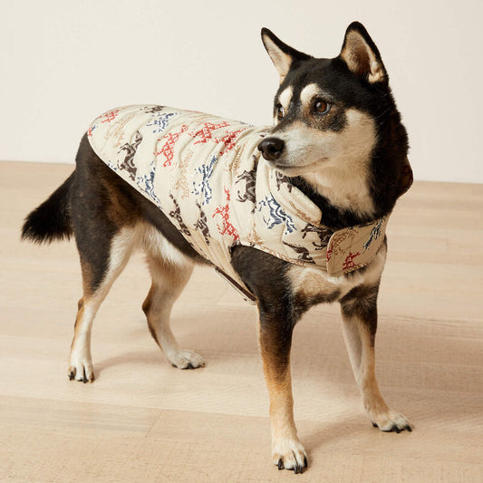 Ariat Pup Puffer Jacket in Painted Ponies Print