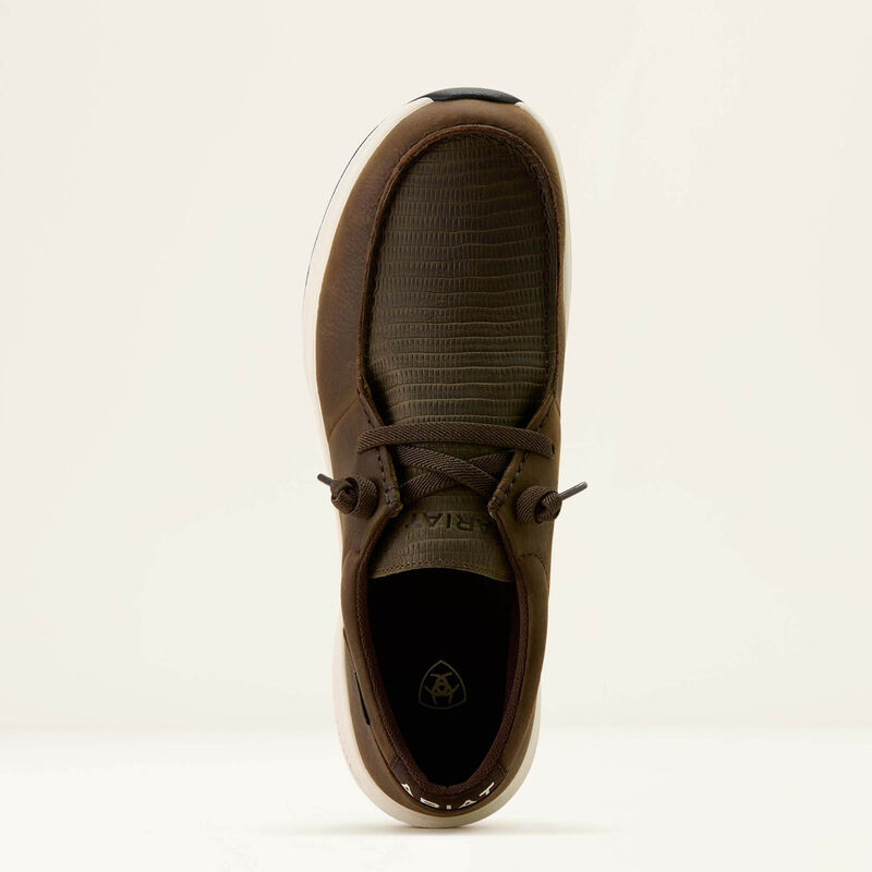 Ariat Buckeye Waterproof Shoe in Dark Brown & Lizard Print