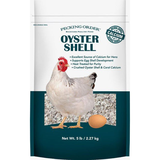 Pecking Order Oyster Shell