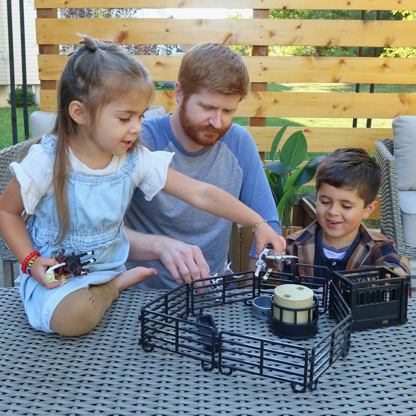 Big Country 12-Piece Ranch Set