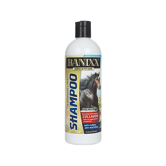 Banixx Medicated Horse and Pet Shampoo