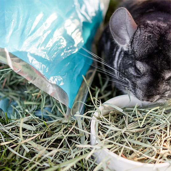 Standlee Small Animal Orchard Grass