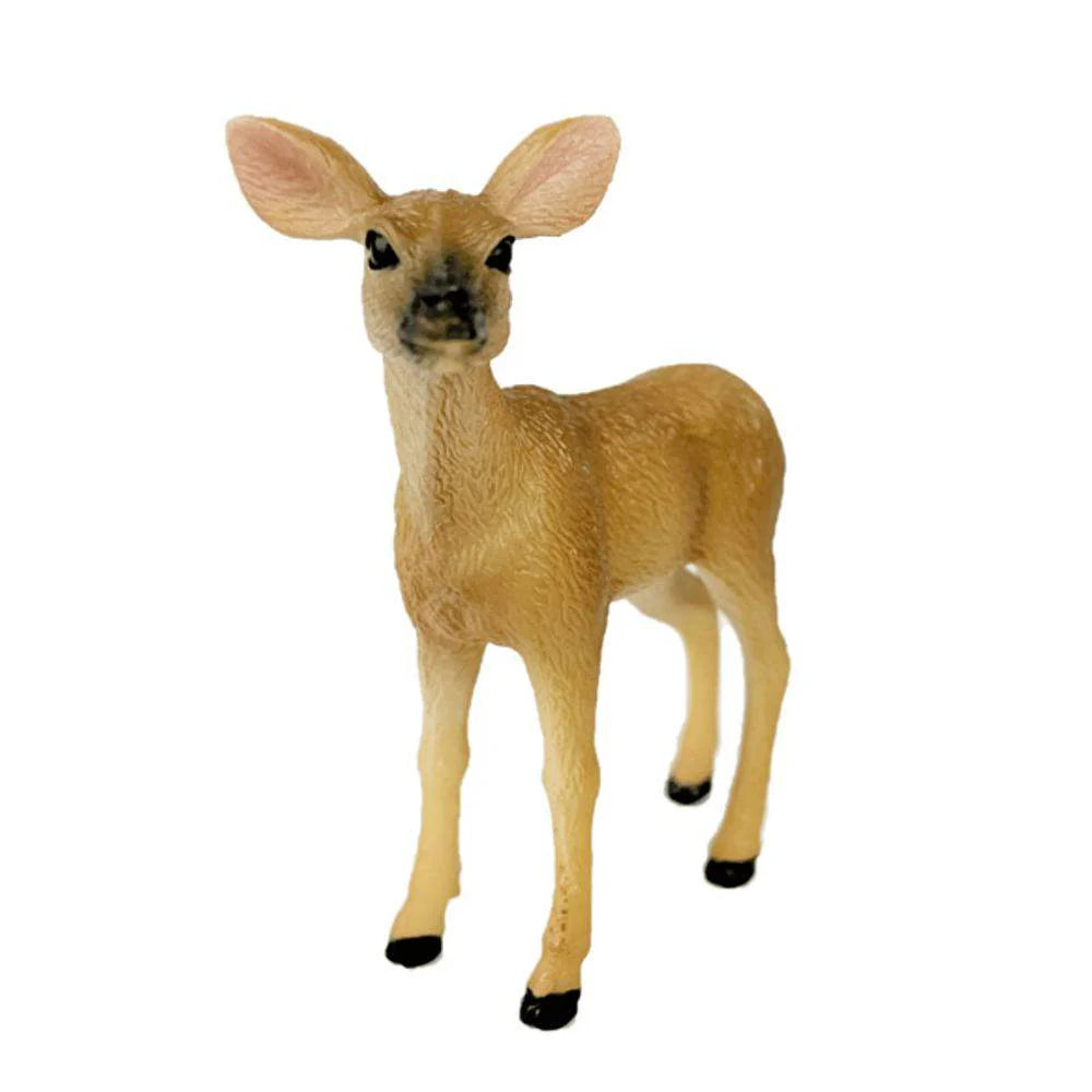 Big Country White Tailed Doe