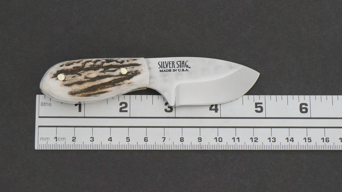 Silver Stag Mini Rabbit