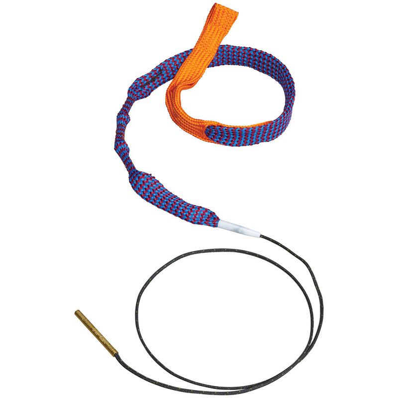 Hoppe's .22 Boresnake Viper with Den Pistol