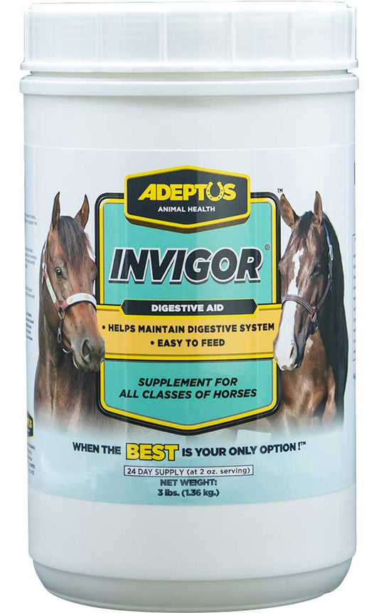 Adeptus Invigor Digestive Aid for Horses