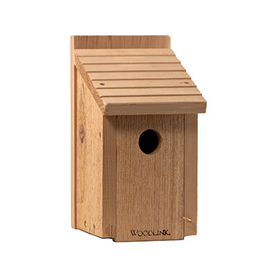 Bluebird House-DIY Craft Kit
