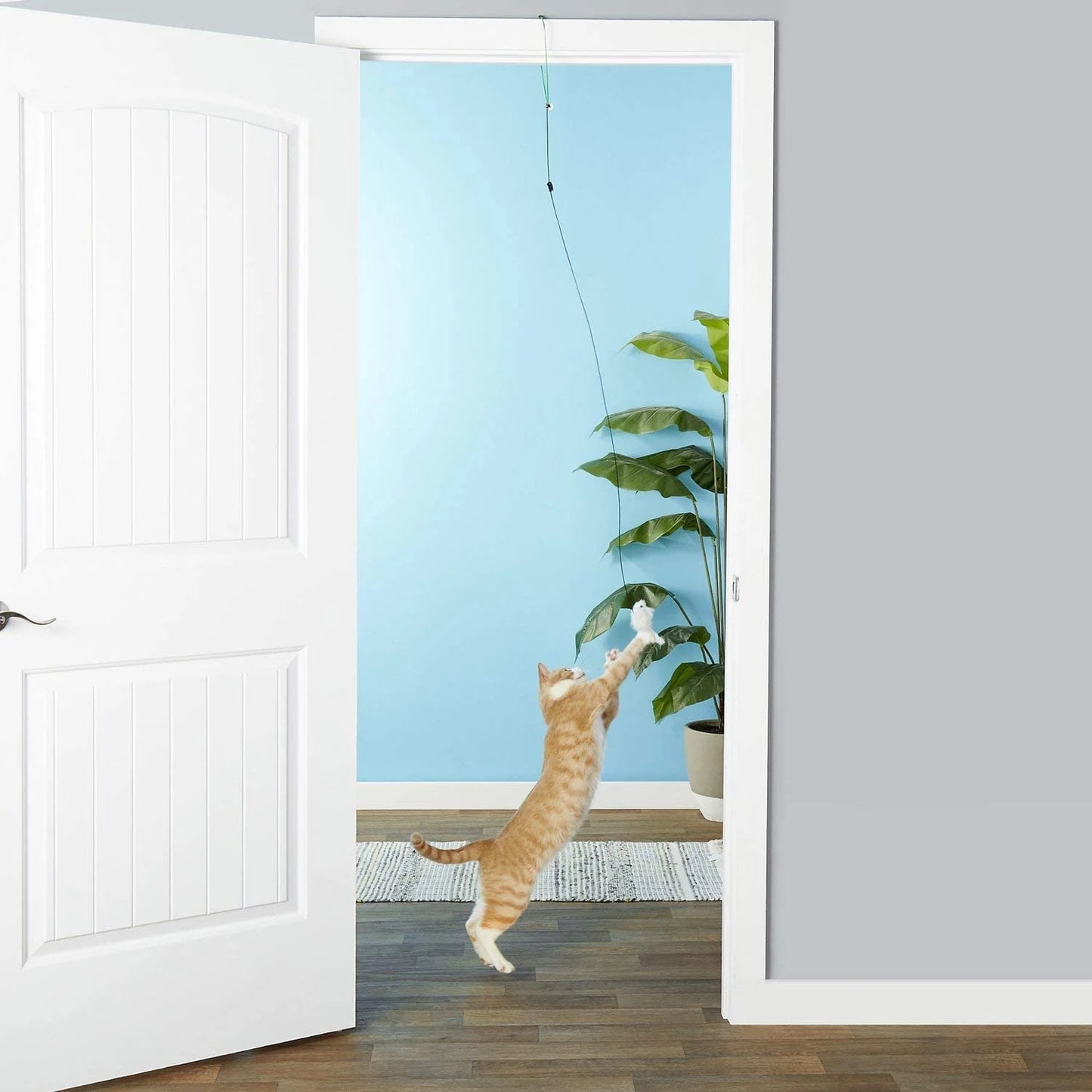 Spot A-Door-Able Bouncing Mouse Cat Toy