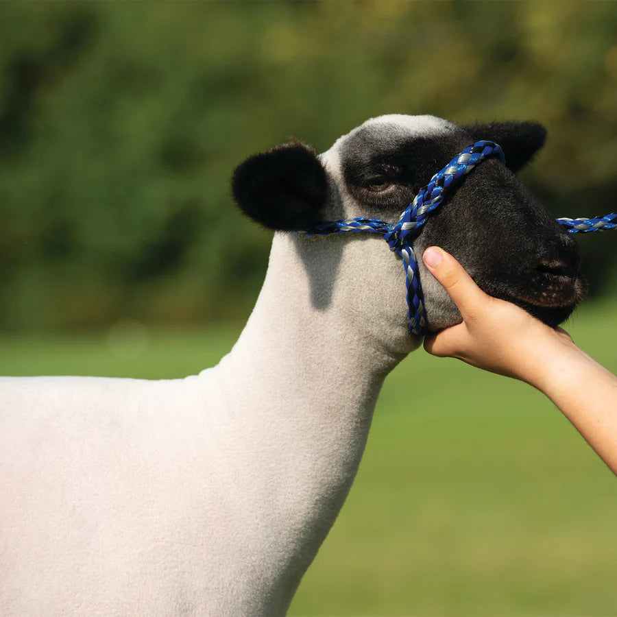 Weaver Poly Rope Halter