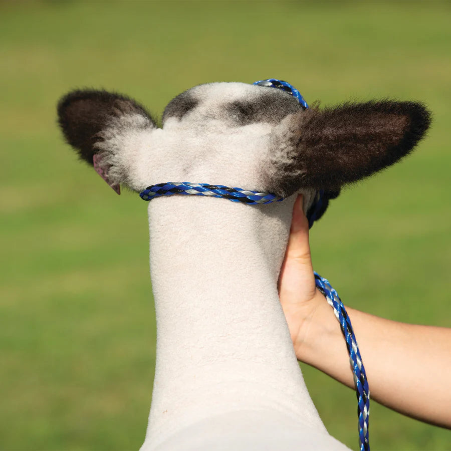 Weaver Poly Rope Halter