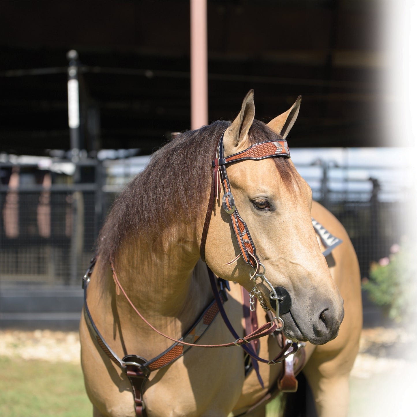 Professional's Choice Tomahawk Browband Headstall
