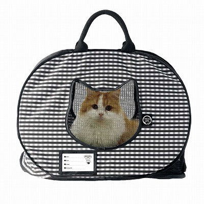 Pet carrier with a cat inside on a white background