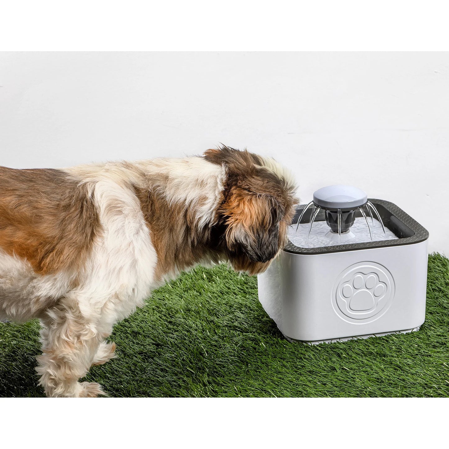 Paw Perfect Pet Water Fountain