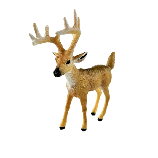 Big Country White-tailed Duck