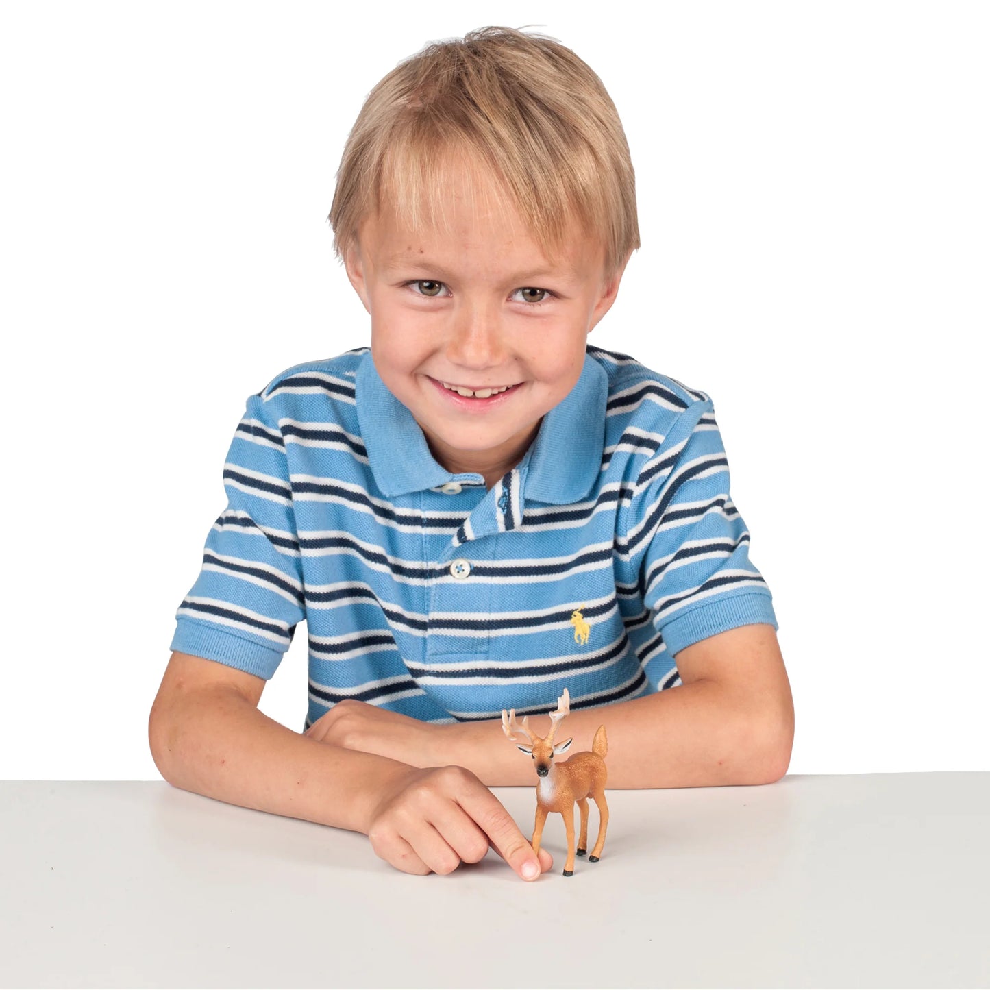 Big Country White-tailed Duck