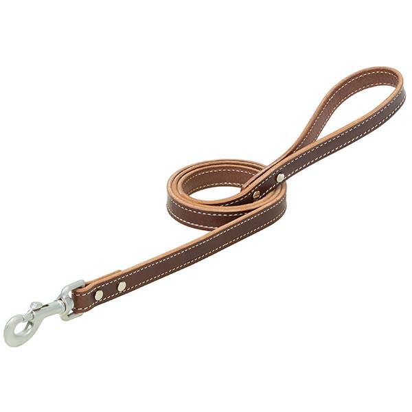 Terrain Dog Bridle Leather Dog Leash
