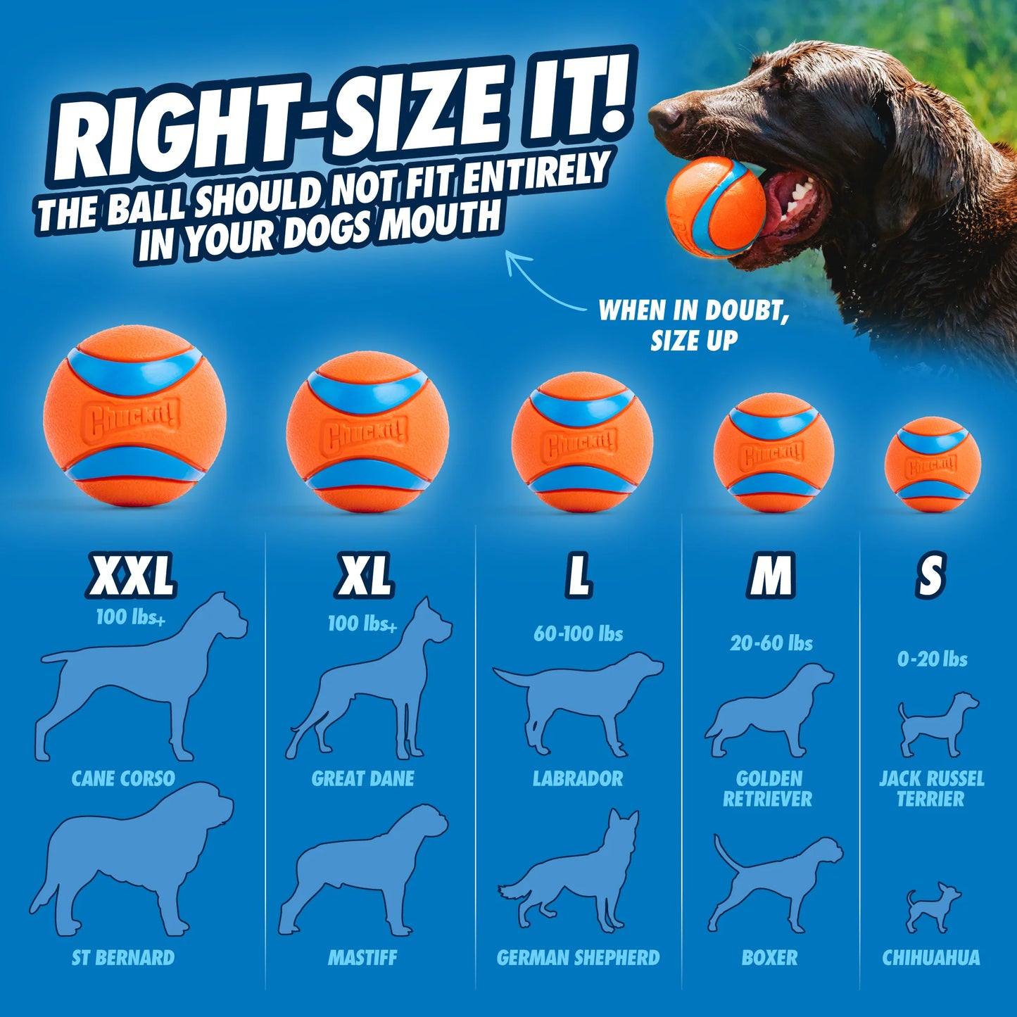 Chuckit! Ultra Ball Dog Toy 2-Pack
