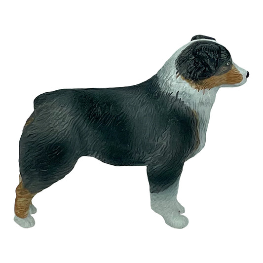 Big Country Australian Shepherd