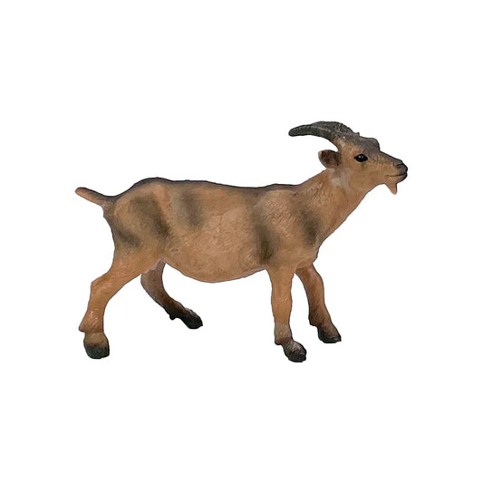 Big Country Goat