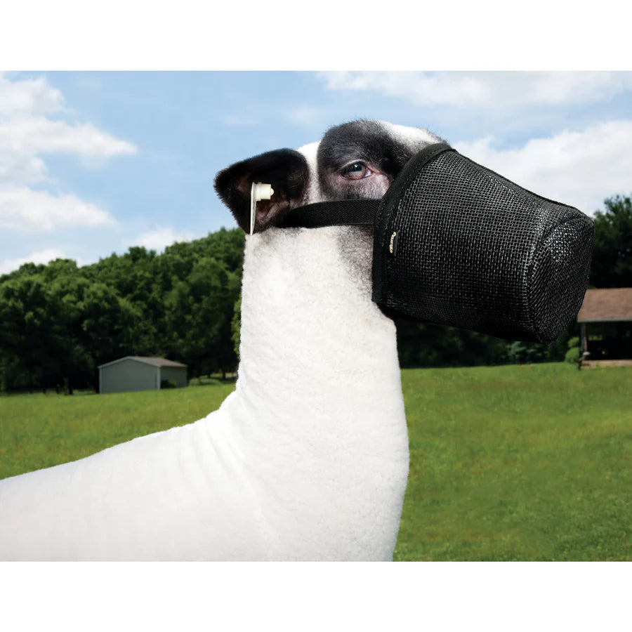 Weaver Sheep/Goat Muzzle