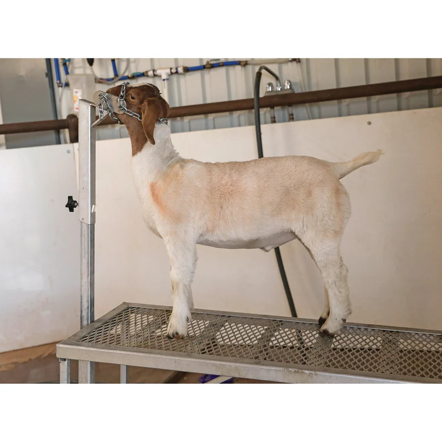 Weaver Shimmer Shampoo