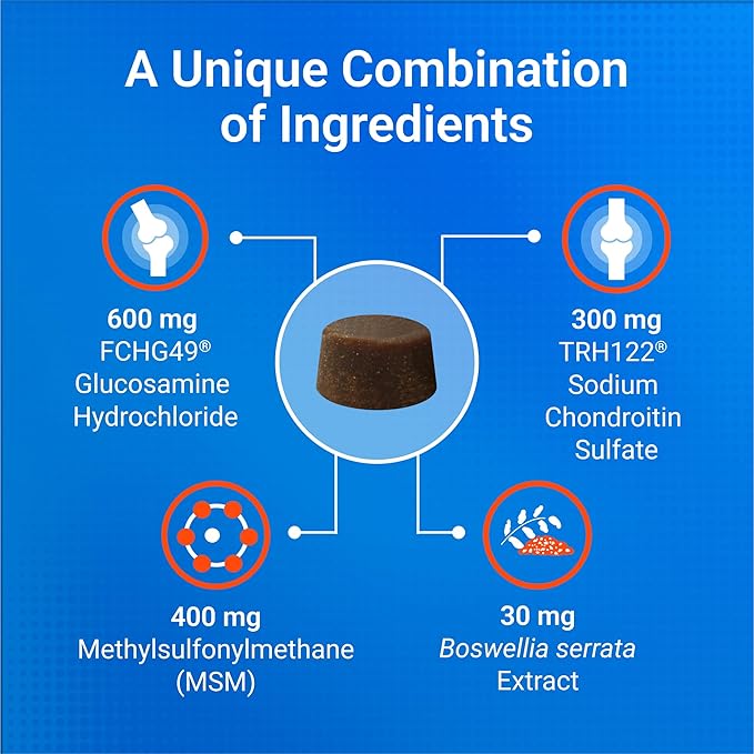 Nutramax Cosequin Plus MSM for Dogs