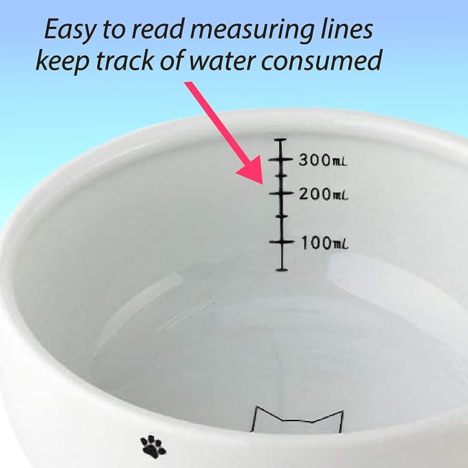 Necoichi Raised Cat Water Bowl