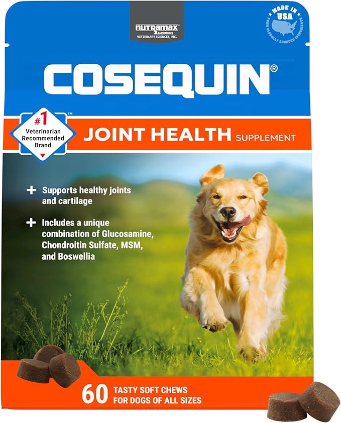 Nutramax Cosequin Plus MSM for Dogs