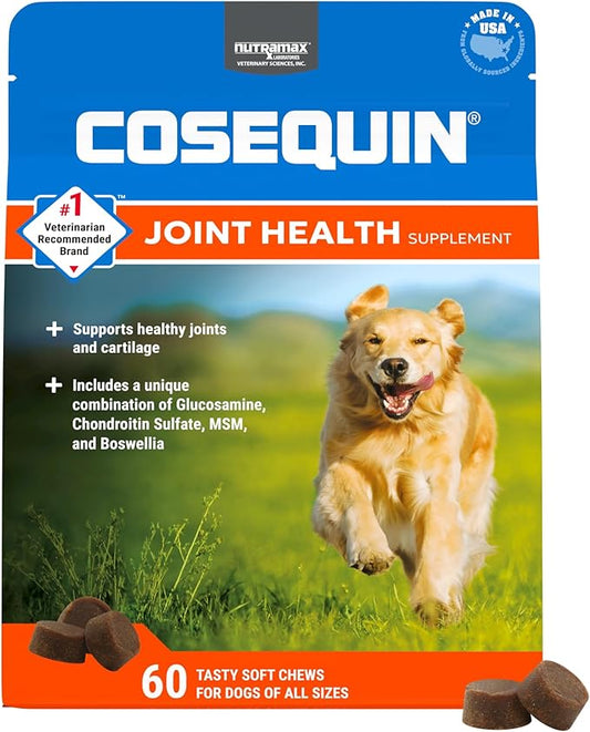 Nutramax Cosequin Plus MSM for Dogs