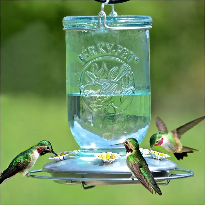 Perky-Pet Antique Blue Mason Jar Hummingbird Feeder