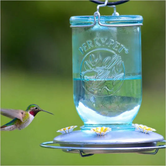 Perky-Pet Antique Blue Mason Jar Hummingbird Feeder