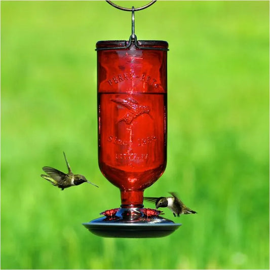Perky-Pet® Red Antique Glass Bottle Hummingbird Feeder