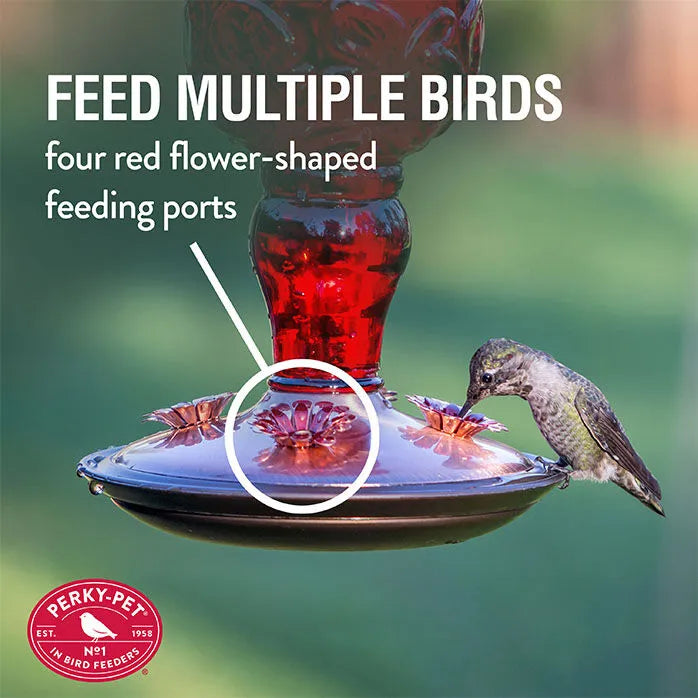 Perky-Pet Red Antique Glass Bottle Hummingbird Feeder