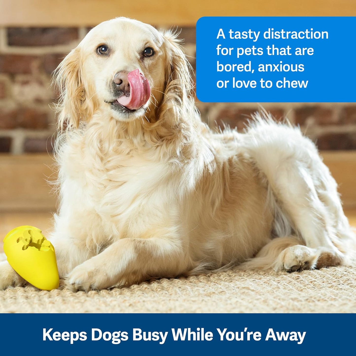 PetSafe Frosty Cone
