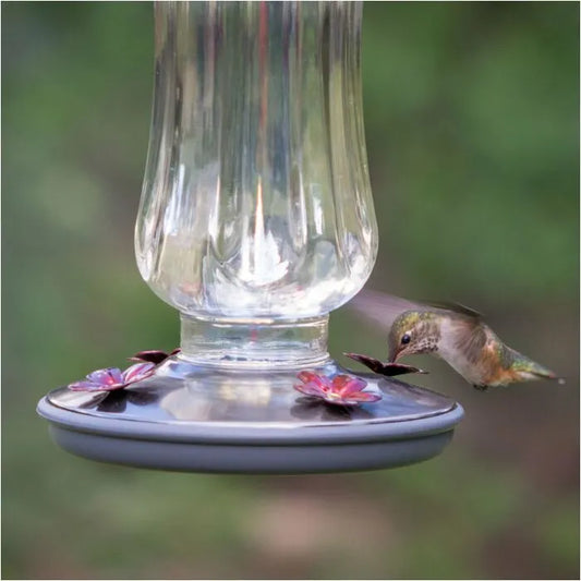 Perky-Pet Clear Starglow Vintage Hummingbird Feeder