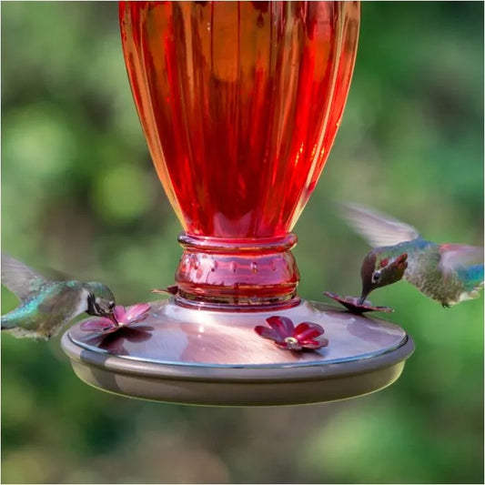 Perky-Pet Red Daisy Vase Vintage Glass Hummingbird Feeder