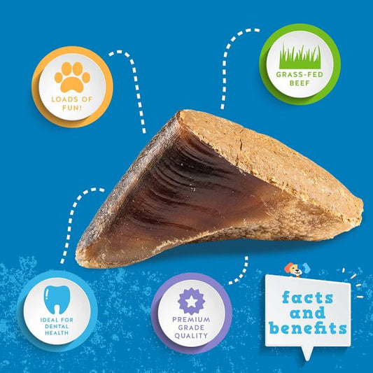 Cow hoof dog treat with health benefits on a blue background