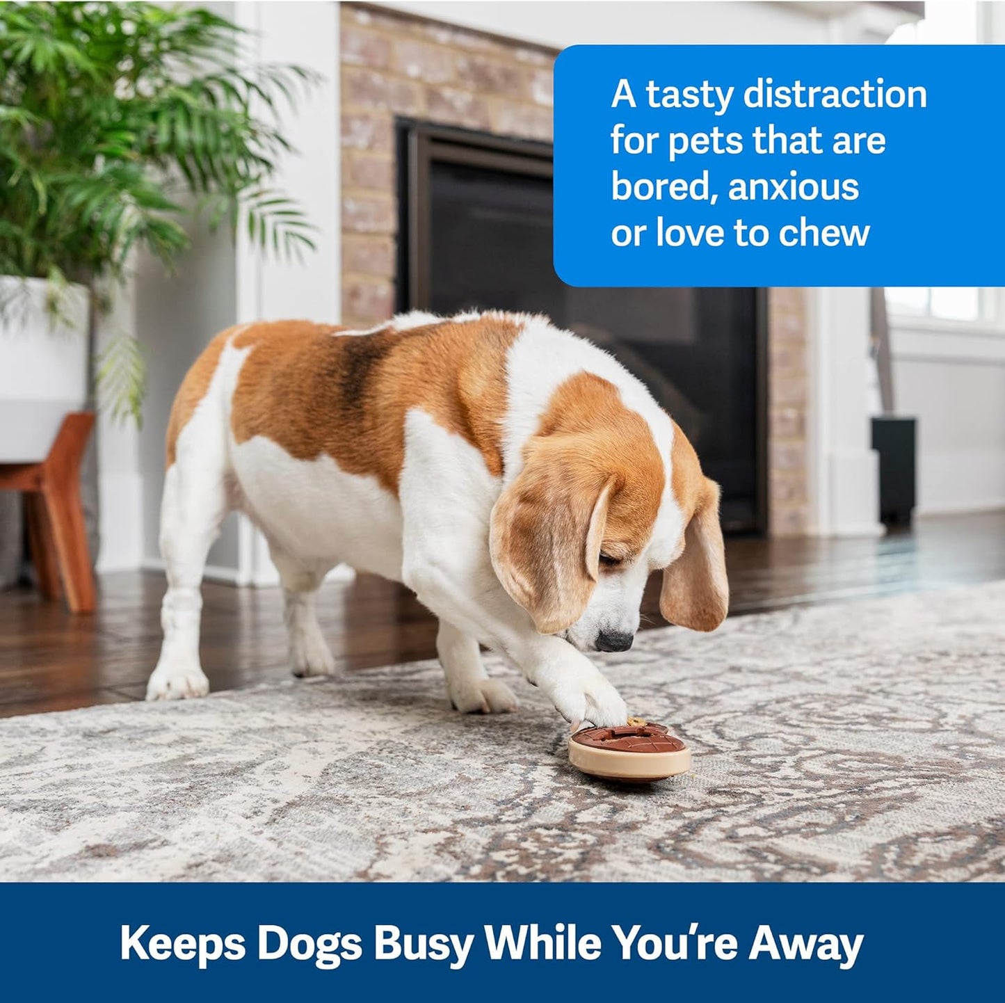 Pet Safe Busy Buddy® Slab o’ Sirloin