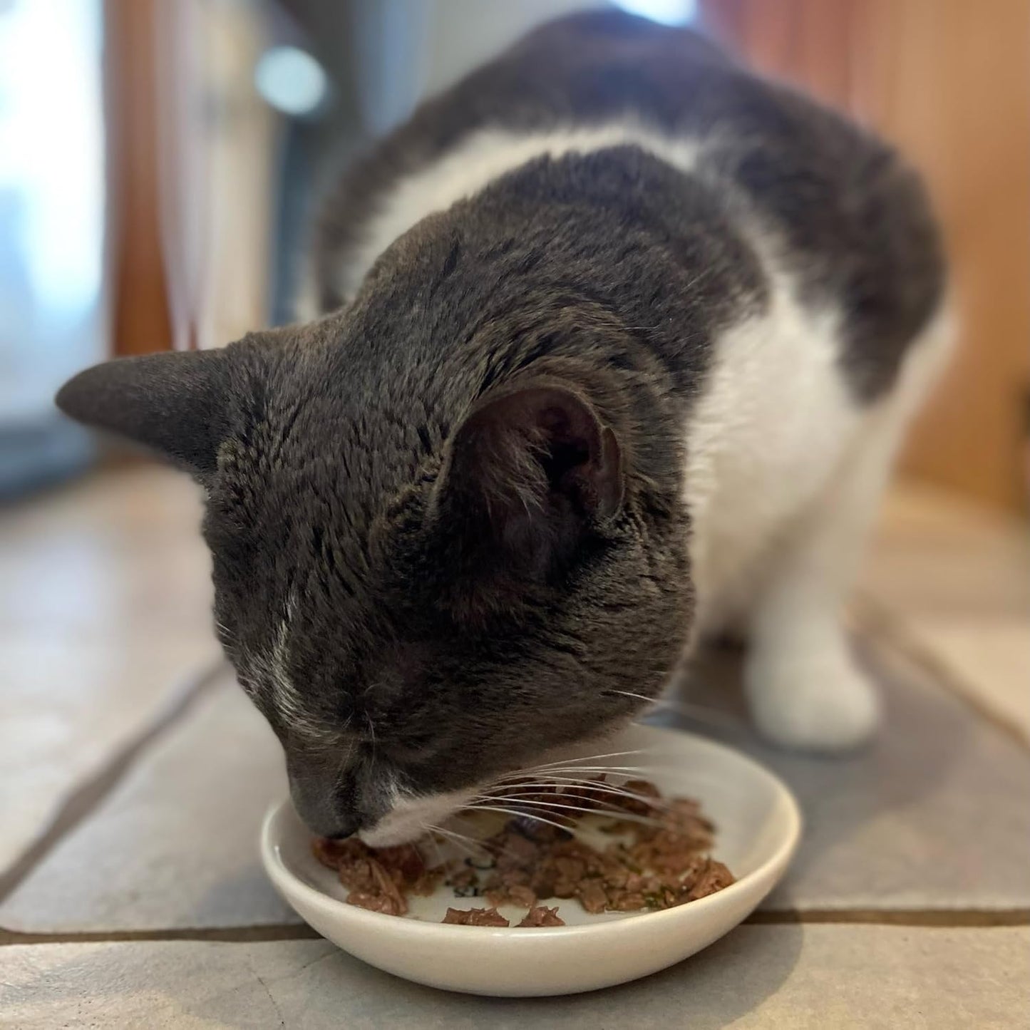 Spot I Love Cats’ Cat Saucer Bowl