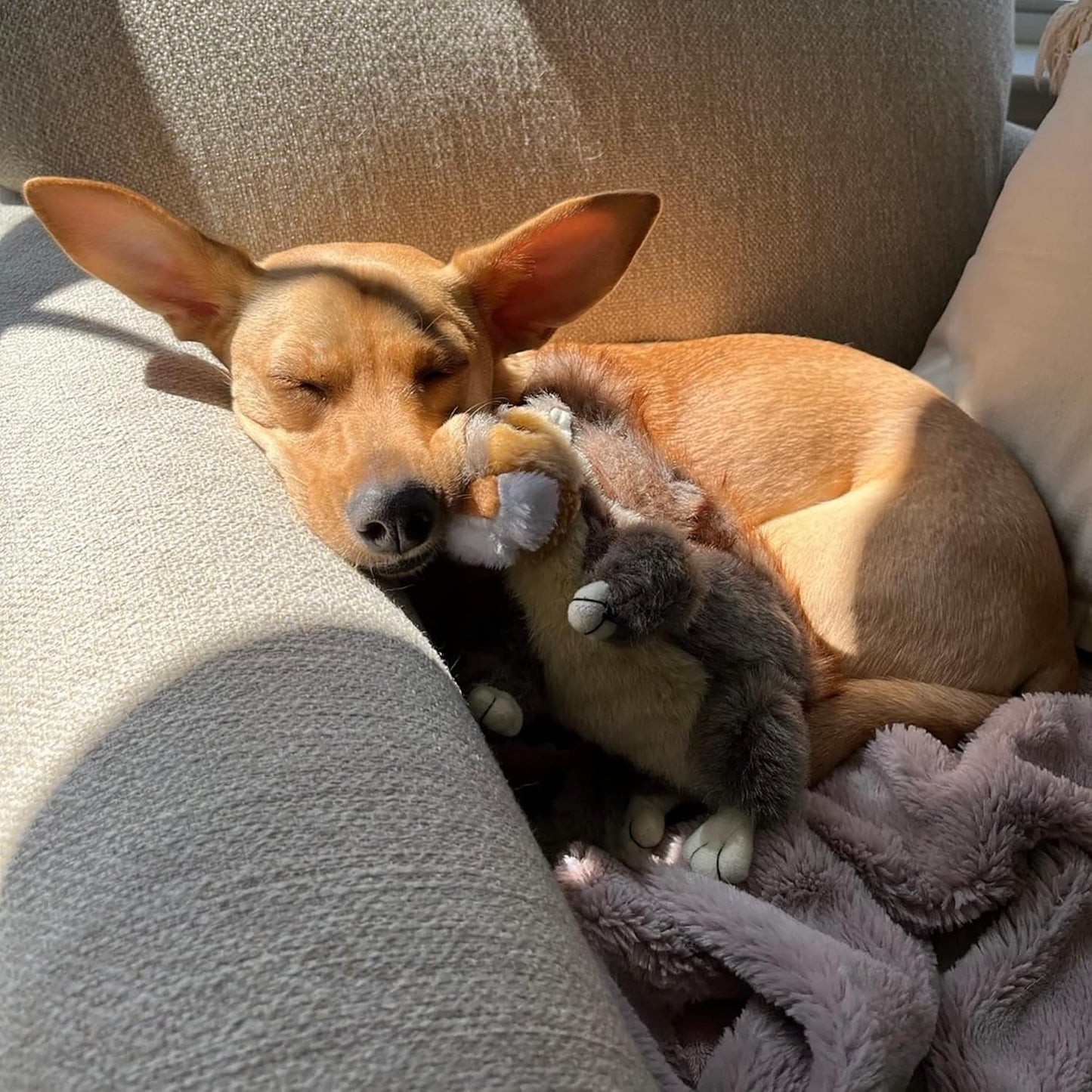 Ruffin' It Woodlands Plush Squirrel Dog Toy