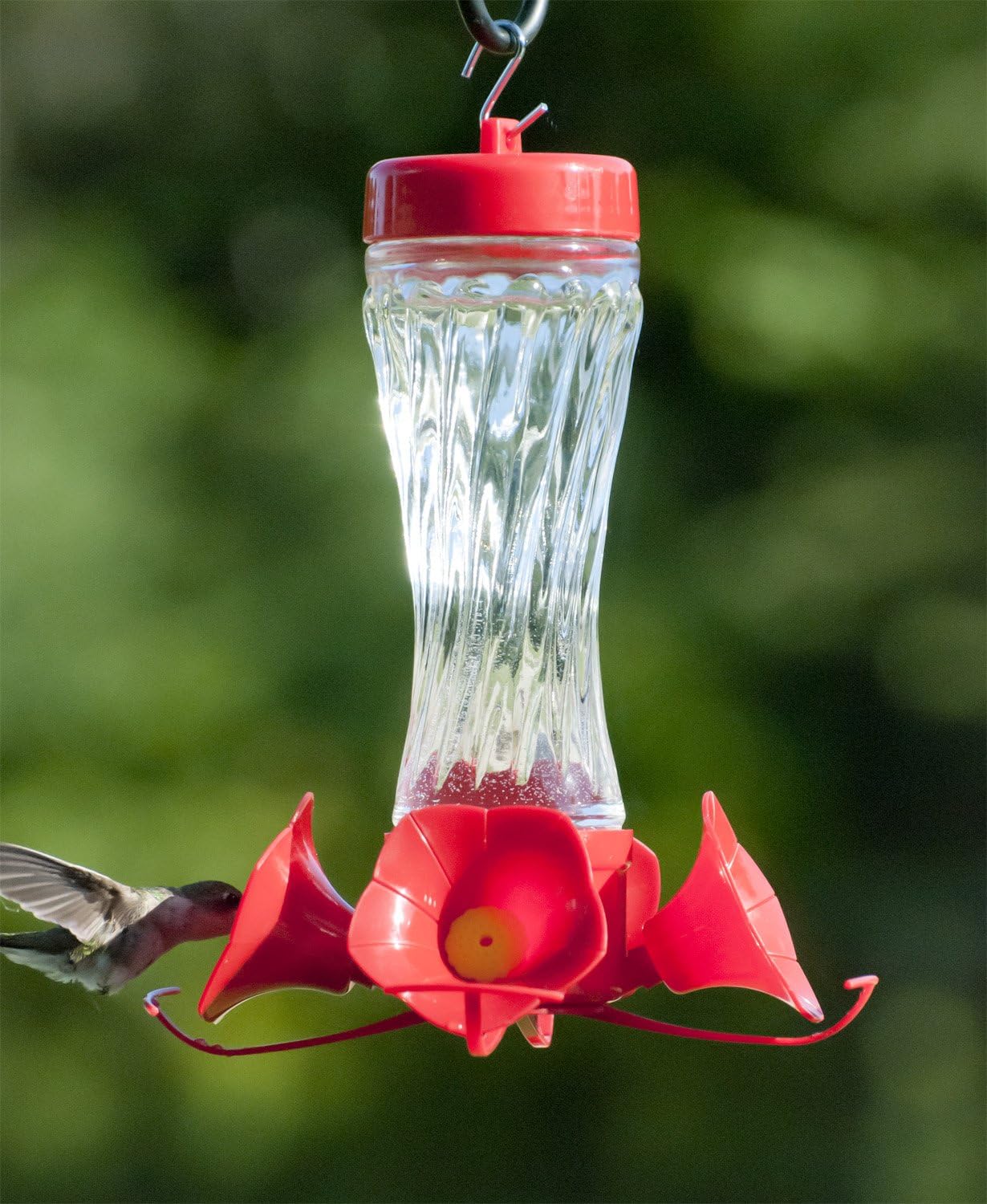 Audubon Clear Swirl Glass Hummingbird Feeder