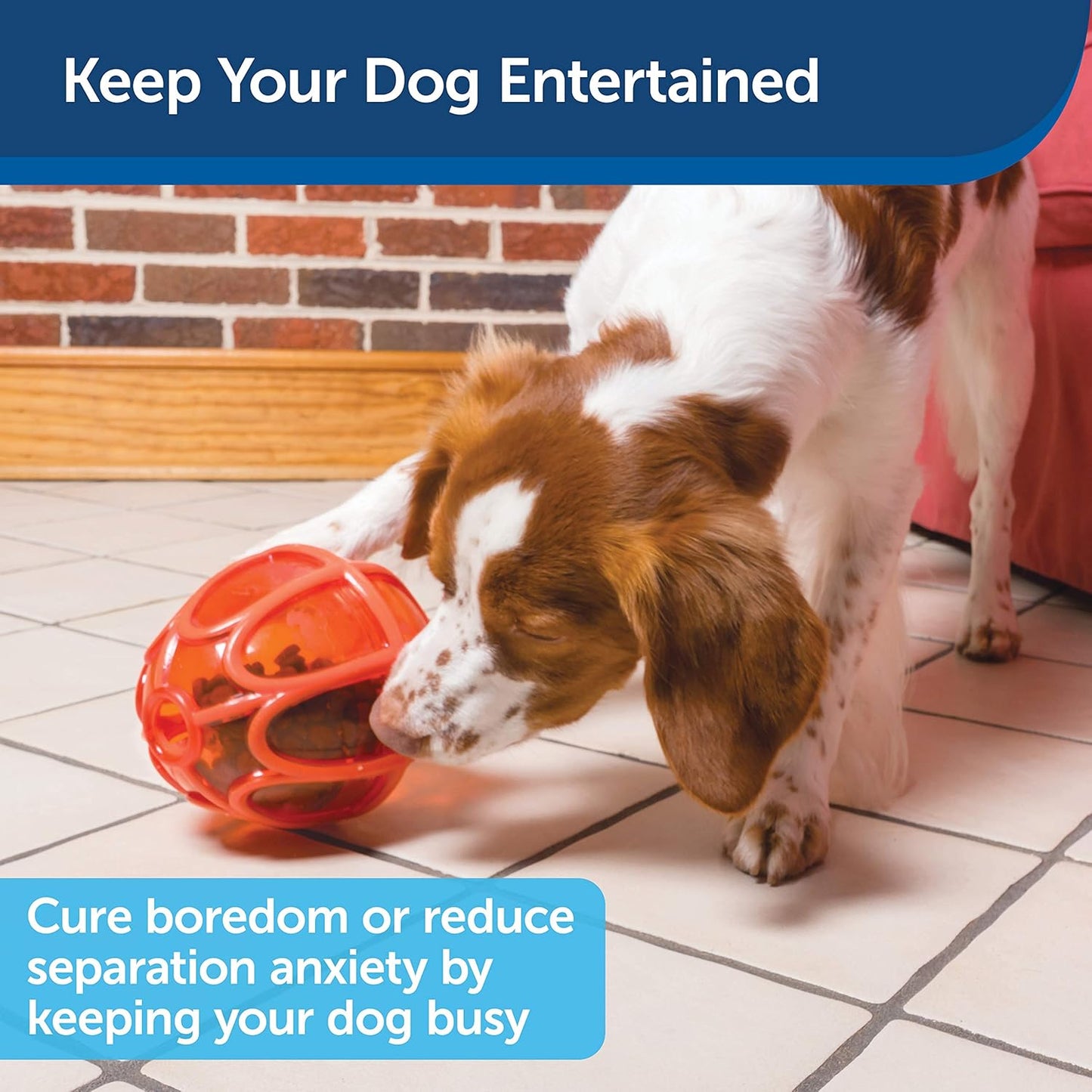 Sportsmen Kibble Nibble™ Feeder Ball