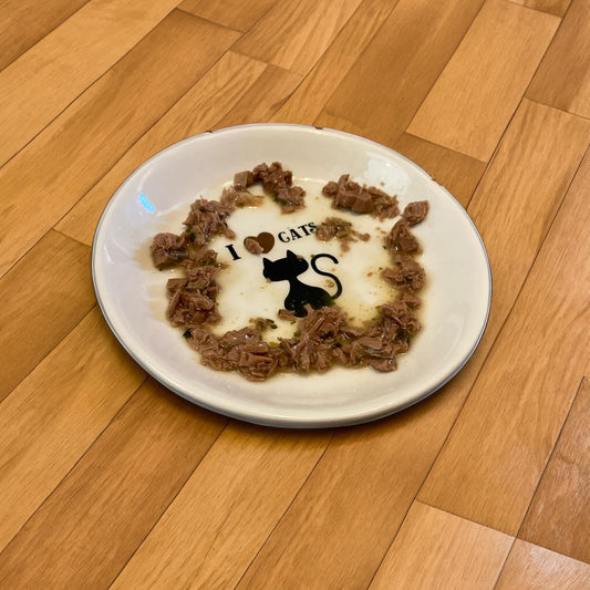 Spot I Love Cats’ Cat Saucer Bowl