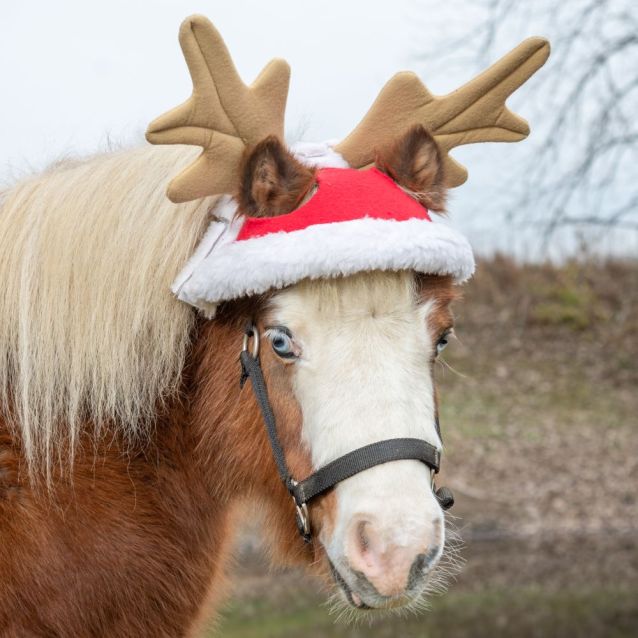 Tough1 Mini Horse Reindeer Hat