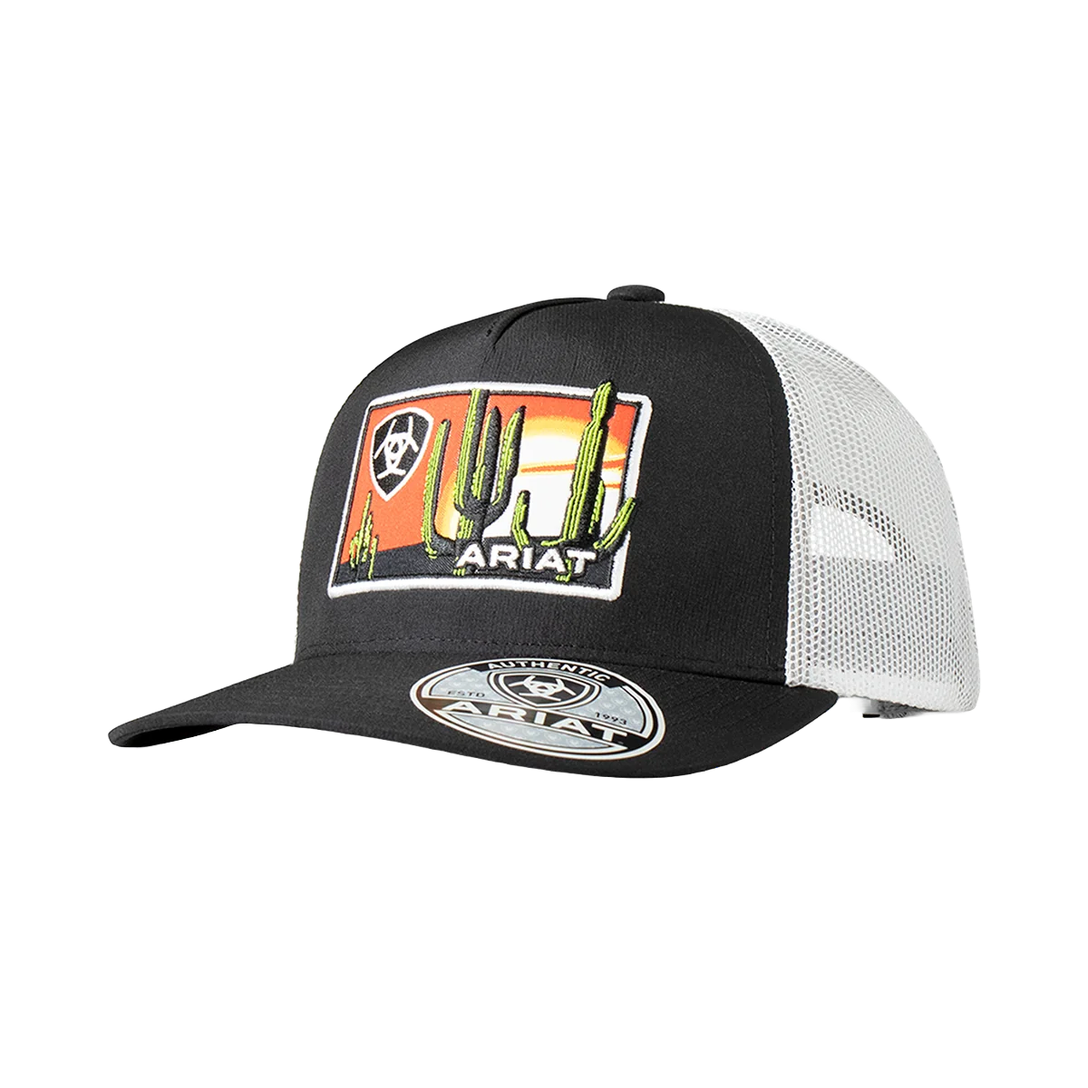 Ariat Desert Scene Patch Cap